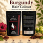 Kavishri Natural Hair Colour (Burgundy )